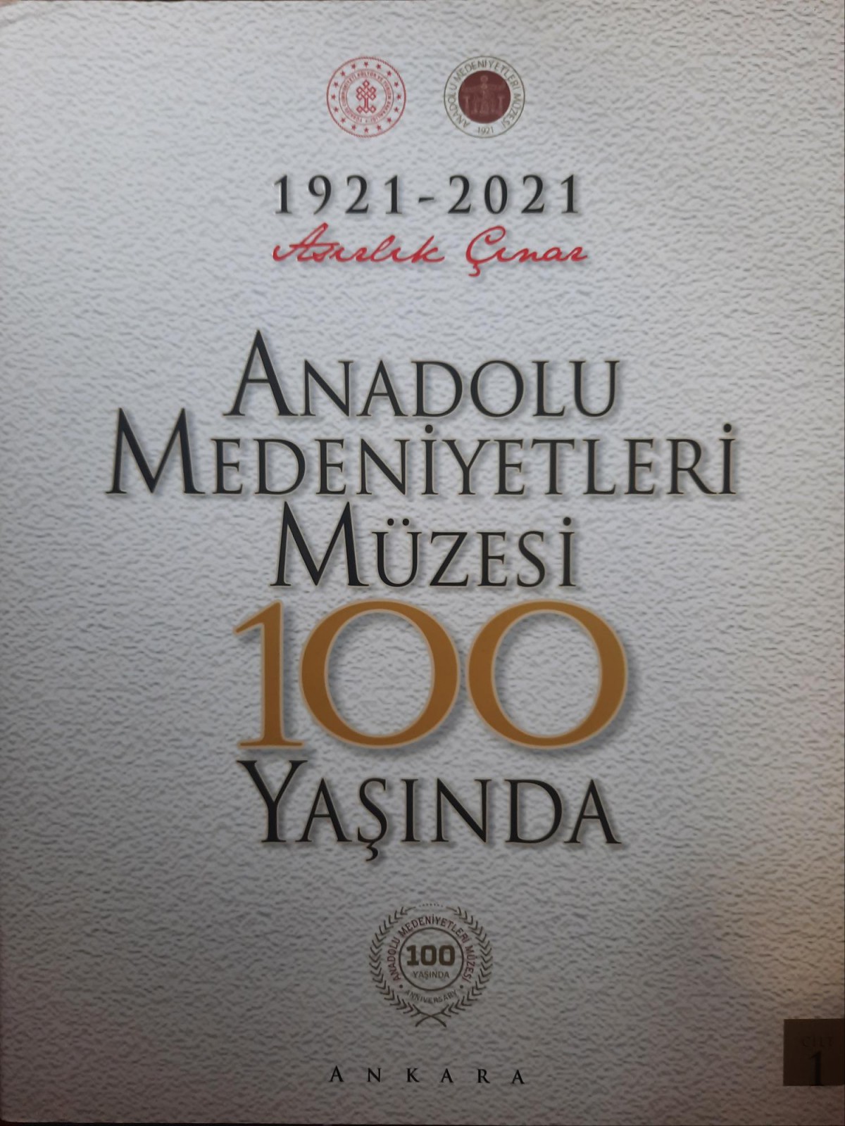 1921 2021 Asırlık Çınar Anadolu Medeniyetleri Müzesi 100 Yaşında 1. ve 2. Cilt Takım