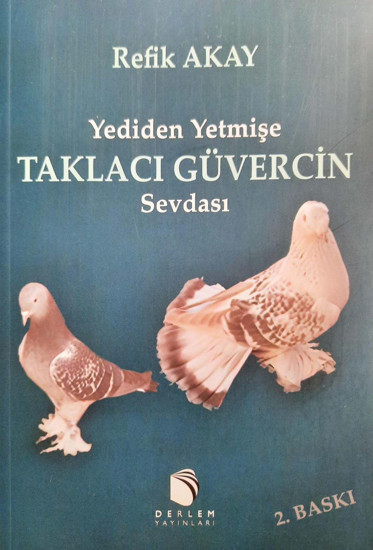 Yediden Yetmişe Taklacı Güvercin Sevdası