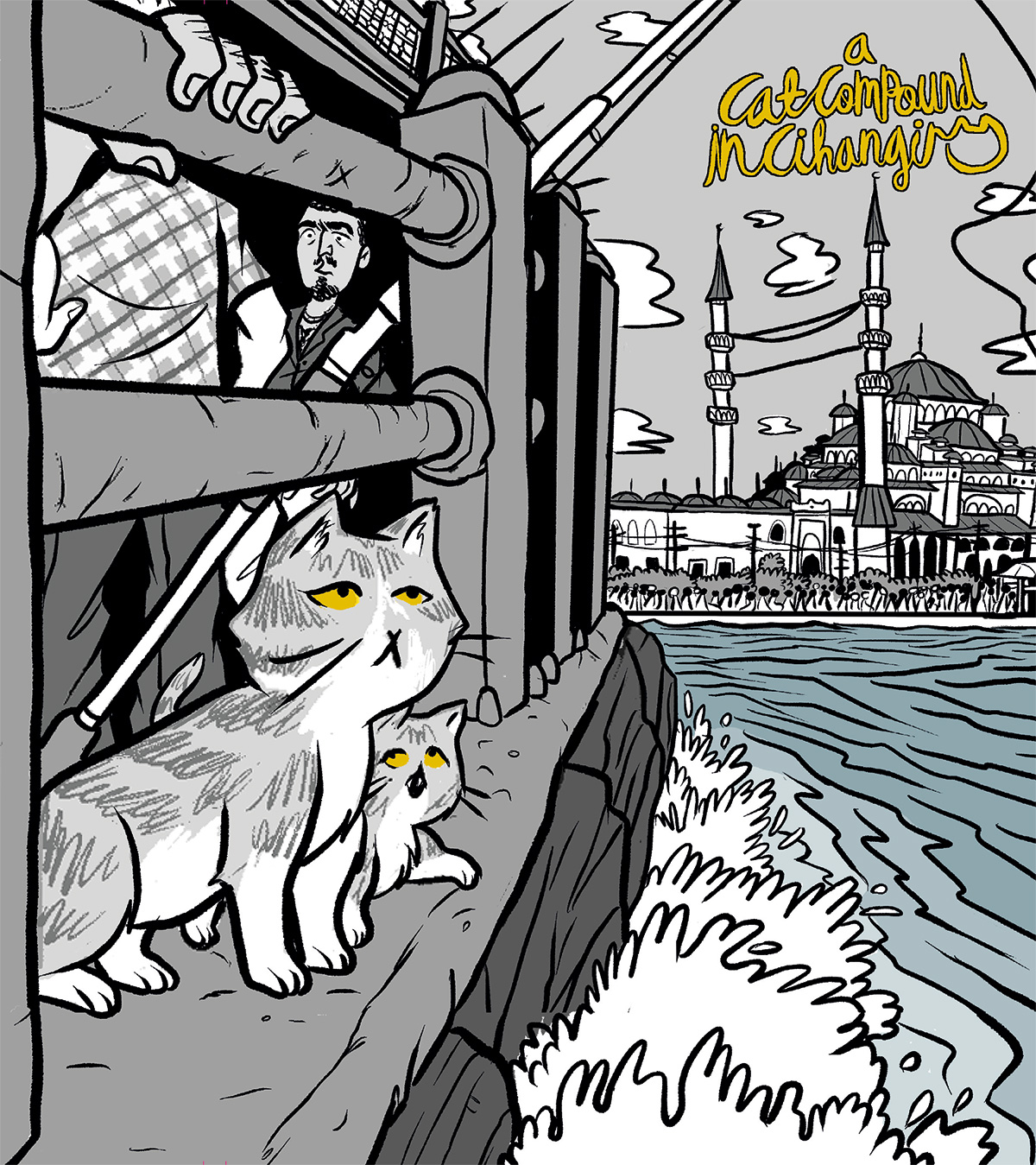 A Cat Compound in Cihangir