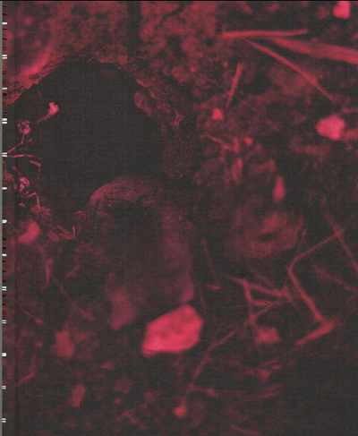 Islak Hüzün / Wet Sorrow