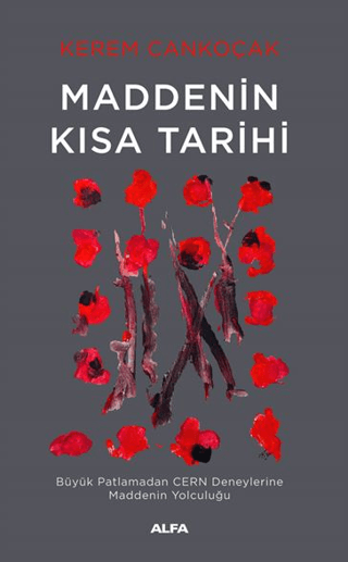 Maddenin Kısa Tarihi. Büyük Patlamadan CERN Deneylerine Maddenin Yolculuğu