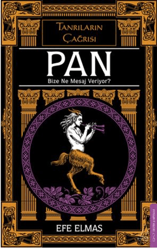 Pan Bize Ne Mesaj Veriyor?