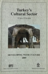 Turkey's Cultural Sector. Developing with Culture 2005