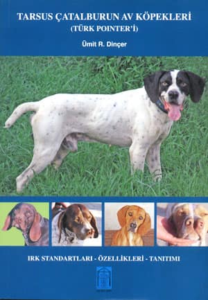 Tarsus Çatalburun Av Köpekleri (Türk pointeri)
