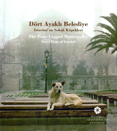 Dört Ayaklı Belediye. İstanbul'un Sokak Köpekleri / The Four-Legged Municipality Street Dogs of İstanbul
