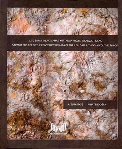 Ilısu Barajı İnşaat Sahası Kurtarma Projesi II