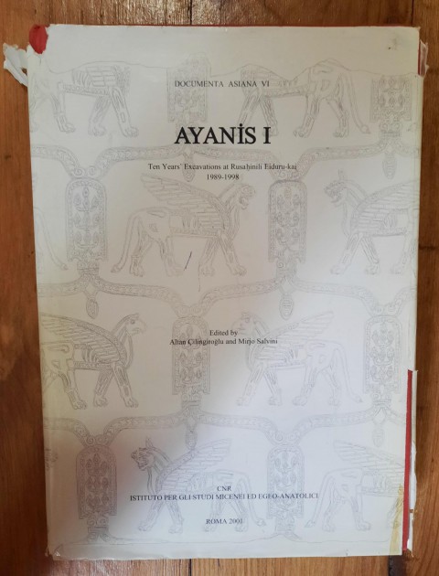 Ayanis I