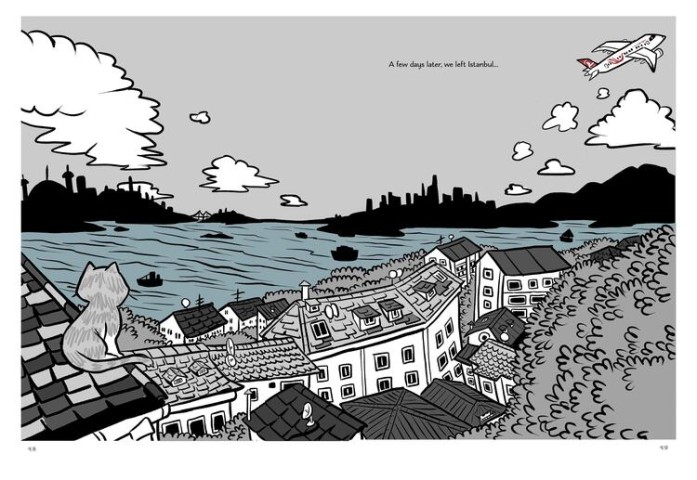 A Cat Compound in Cihangir