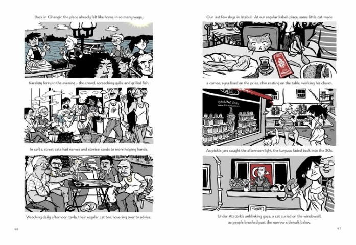 A Cat Compound in Cihangir