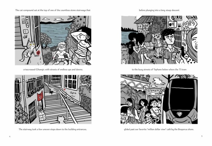 A Cat Compound in Cihangir