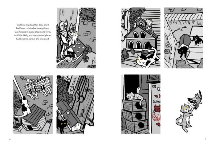 A Cat Compound in Cihangir