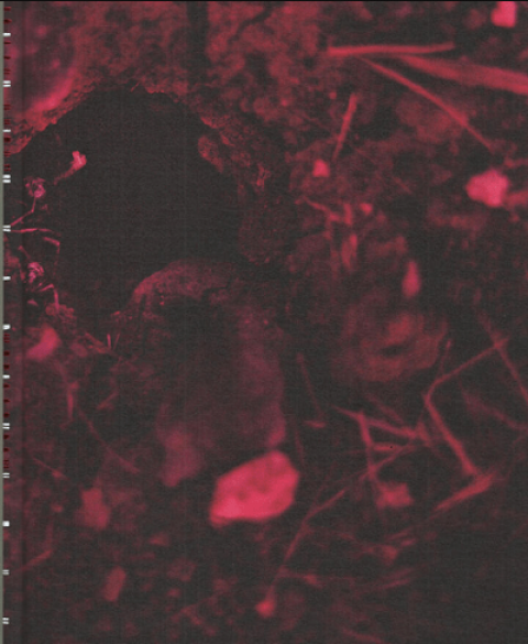 Islak Hüzün / Wet Sorrow