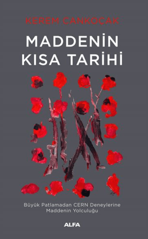 Maddenin Kısa Tarihi. Büyük Patlamadan CERN Deneylerine Maddenin Yolculuğu