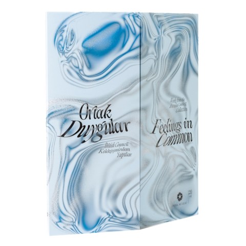 Ortak Duygular British Council Koleksiyonu’ndan Yapıtlar