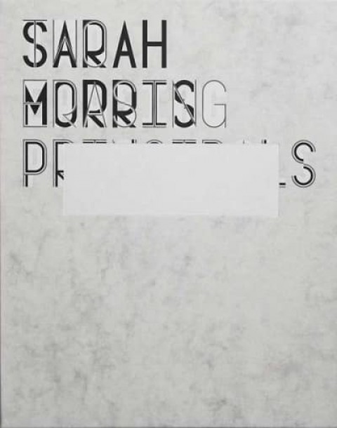 Two Erasing Principles - Sarah Morris