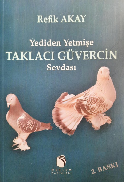 Yediden Yetmişe Taklacı Güvercin Sevdası