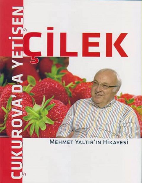 Çukurova'da Yetişen Çilek. Mehmet Yaltır'ın Hikayesi
