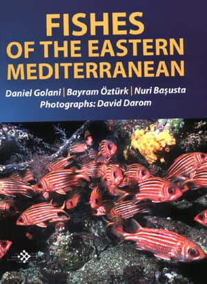 Fishes of the Eastern Mediterranean