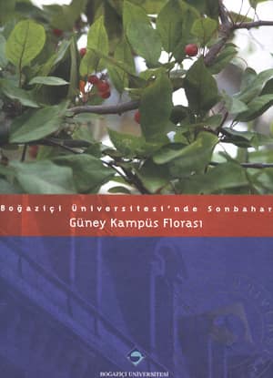 Boğaziçi Üniversitesi'nde Sonbahar Güney Kampüs Florası