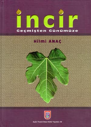 İncir. Geçmişten Günümüze
