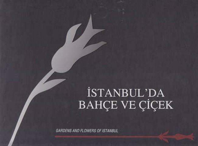 İstanbul'da Bahçe ve Çiçek