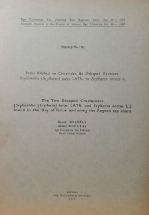 İzmir Körfezi ve Civarından İki Dekapod Krustase: Scyllarides (Scyllarus) latus LATR. ve Sycllarus arct L.