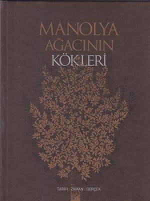 Manolya Ağacının Kökleri