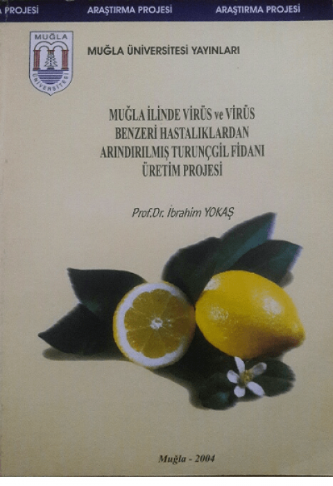 Muğla İlinde Virüs ve Virüs Benzeri Hastalıklardan Arındırılmış Turunçgil Fidanı Üretim Projesi