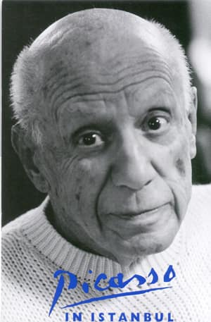 Picasso in Istanbul