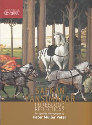 Safkan Yansımalar