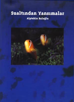 Sualtından Yansımalar