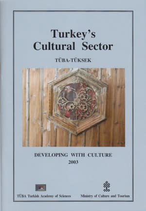 Turkey's Cultural Sector. Developing with Culture 2003